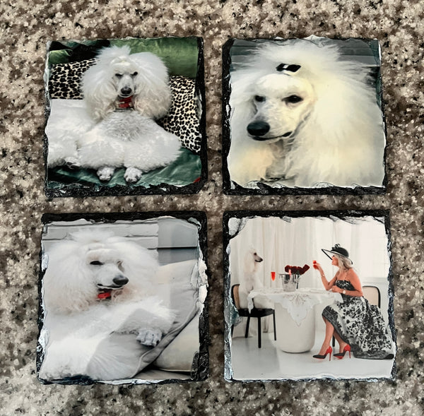 Photo Coaster Sets